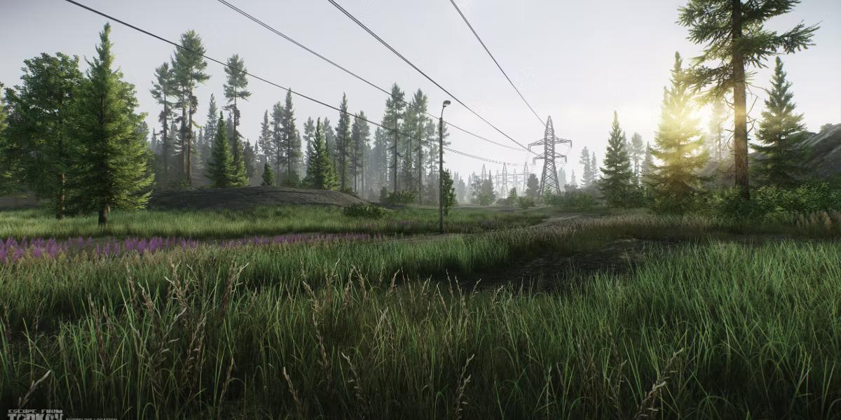 All the main points and tips for Escape from Tarkov that will be useful for beginners