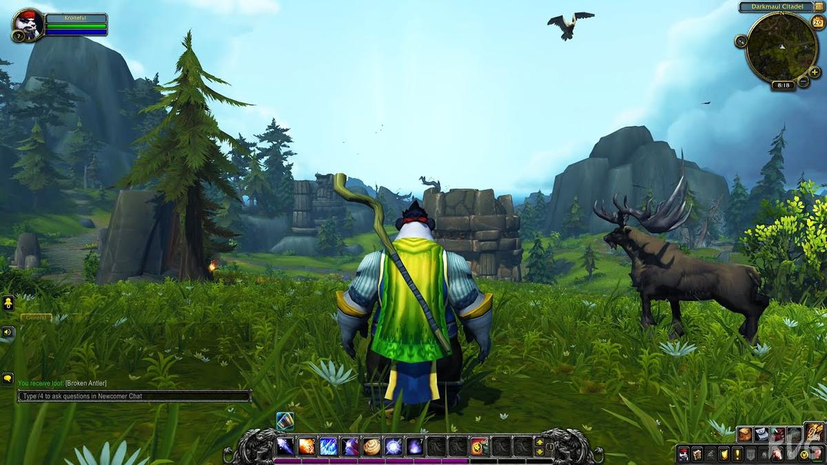 WoW Player in Panda land