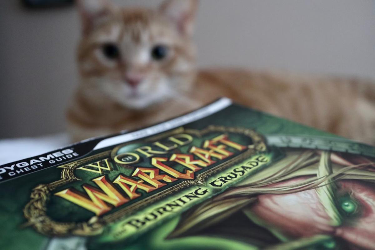 Cat staring at WoW TBC Guide Book